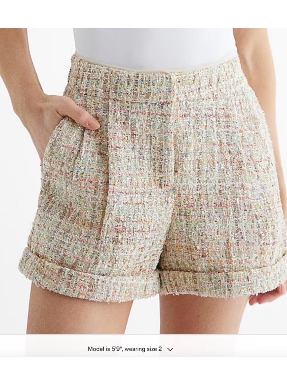 Express High Waisted Sequin Tweed
Pleated Shorts Size 4